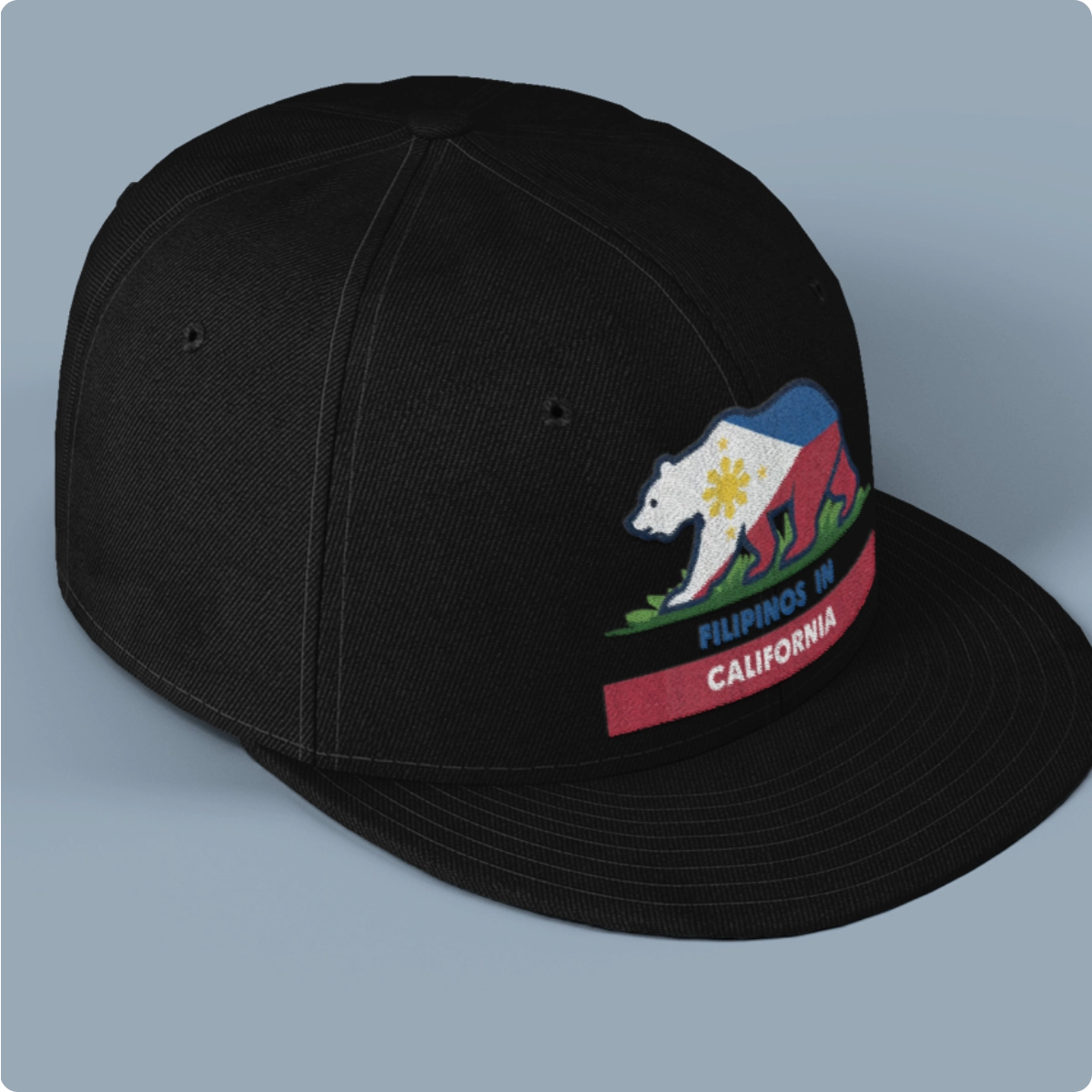 FIC cap black